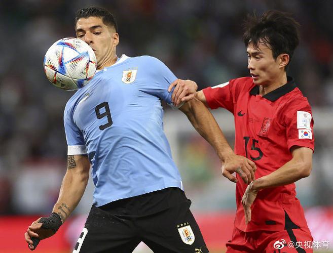 世界杯韩国vs乌拉圭裁判