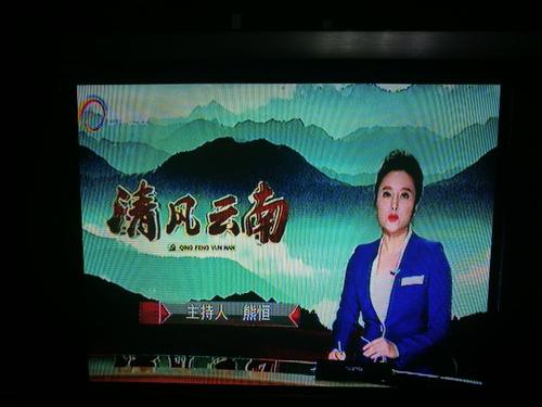 云南卫视直播在线观看