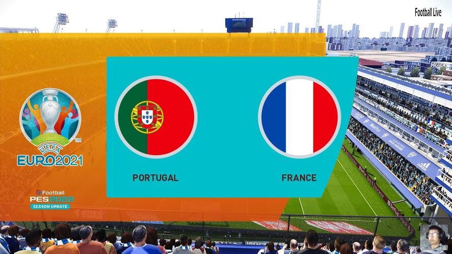 葡萄牙vs法国完整版