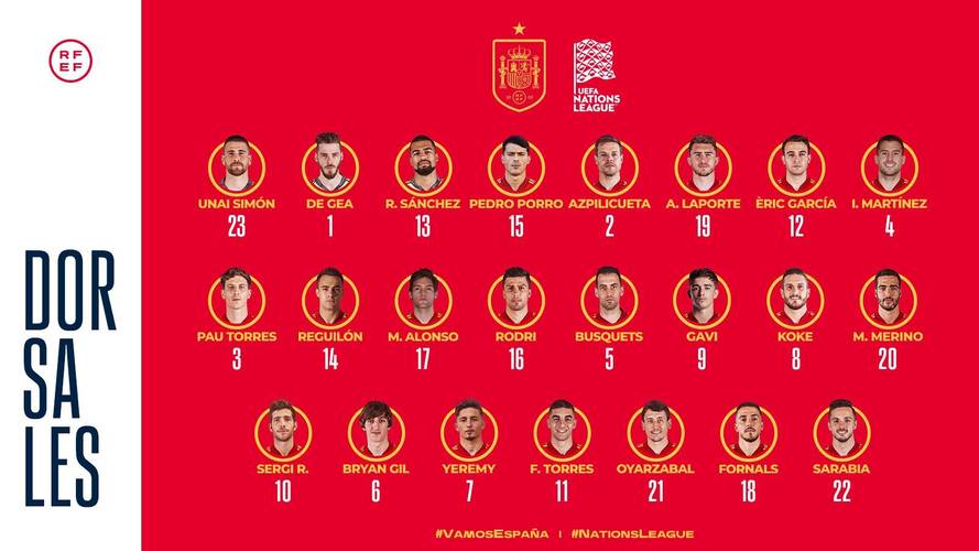 2010南非世界杯西班牙名单